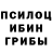 Галлюциногенные грибы Psilocybine cubensis Daniya Beisenova
