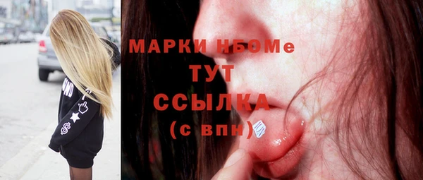 прущие грибы Белая Холуница