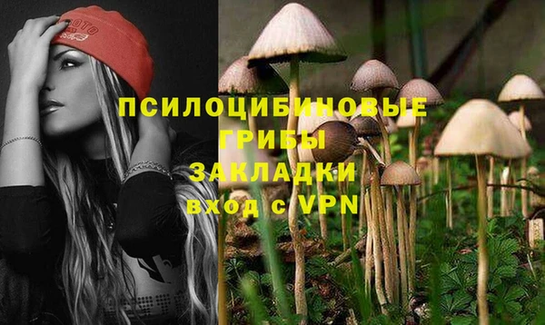 марки lsd Медногорск