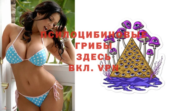 марки lsd Медногорск