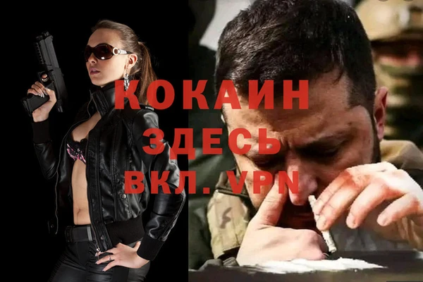 спиды Михайлов