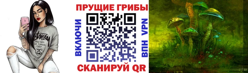 где купить   Зея  Псилоцибиновые грибы мицелий 